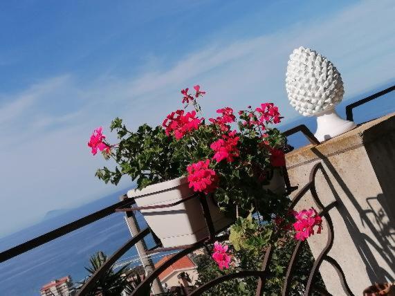 سانتو ستيفانو دي كاماسترا Nnakkara Guest House المظهر الخارجي الصورة